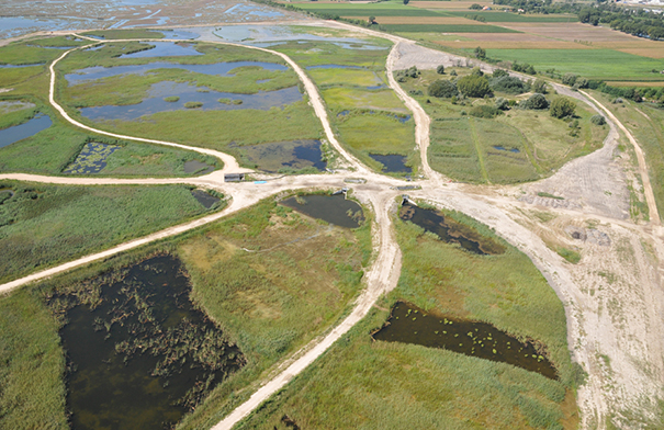 costructed wetland